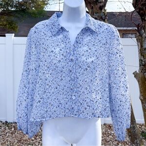 ZARA Blue Floral Sheer Blouse Size L Balloon Sleeve Romantic Cottagecore Top